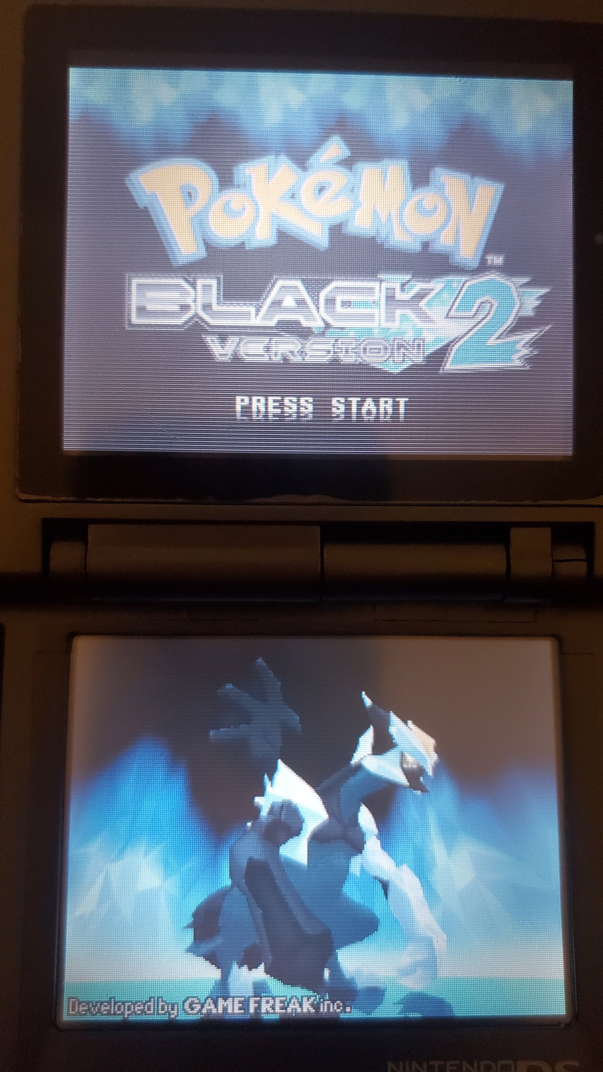 Pokemon Black Version 2 NDS Video Game Cartridge Nintendo DS 2012 VintageVideoGameStore Pokemon Black Version 2 NDS Video Game Cartridge Nintendo DS 2012   Pixxel Core
